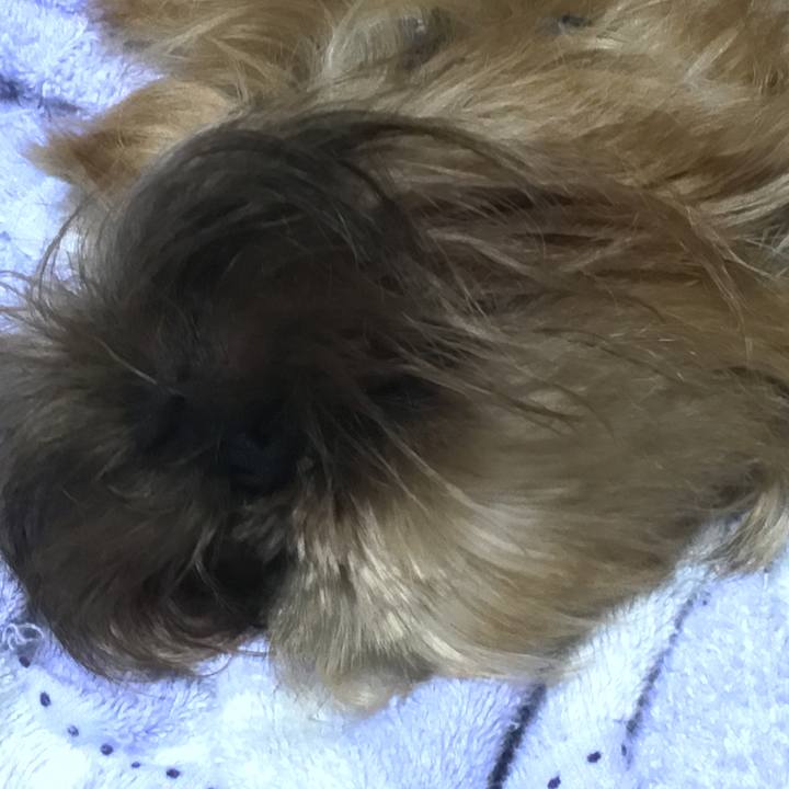 450437e6 b8fe 46ea a5e4 7ce0986896ac