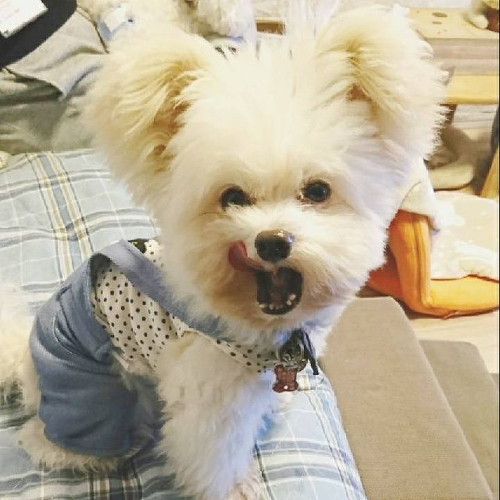 45048623 3c70 40e8 8b90 bb44c88c8b97