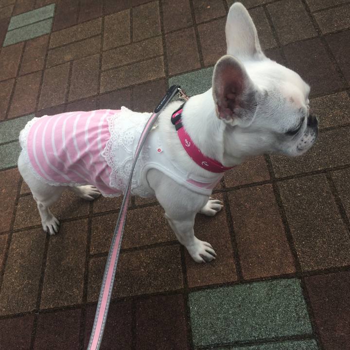 4504c434 5458 4fbf 8b88 bdc8ef61d6e2