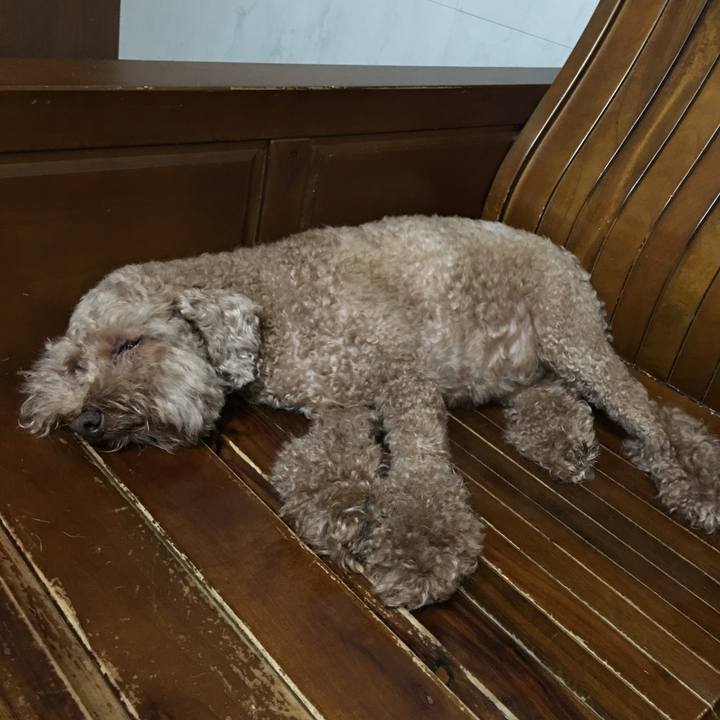 45051591 70ca 453c 8bca 9797c982f044