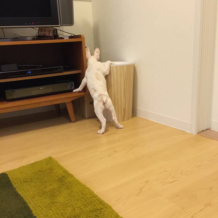 45052009 3ab1 46fd 95f7 9ac7d0ed29fe