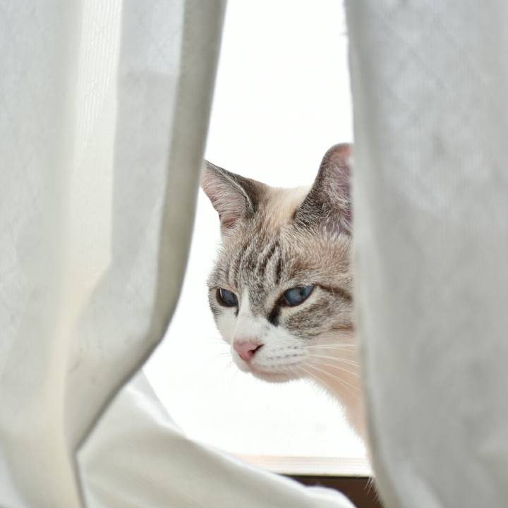 450565d0 807b 493c 8f6c ca26d6aae989