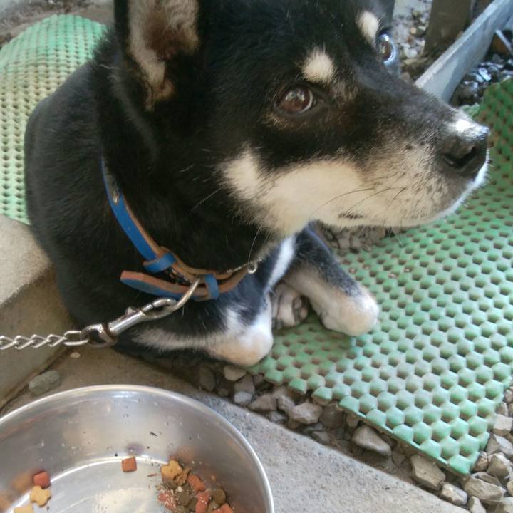 45058886 e958 4105 a457 d8bbd40cb674