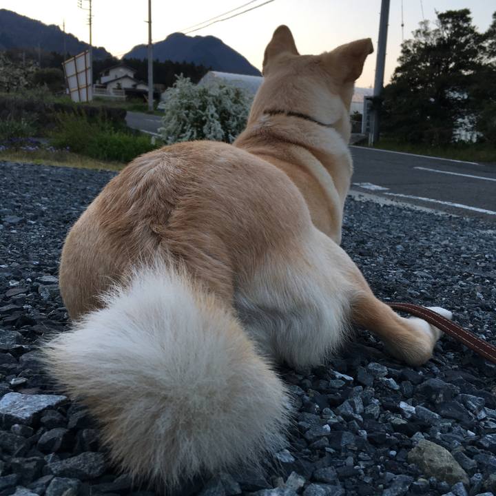 4505b1c0 f401 43ef afaa feac463ddb8f