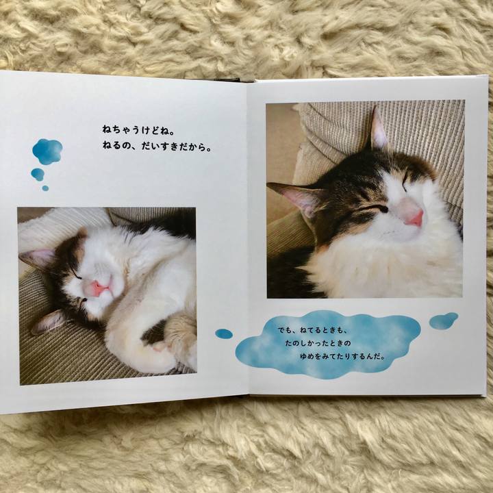 4505ce44 ac4c 42d8 87e8 d024794901ac