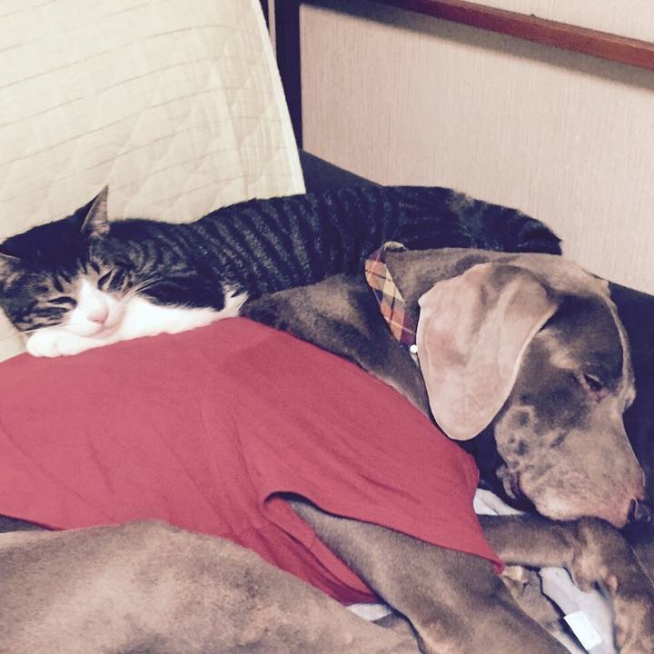 450633c8 74d9 486c a0c9 9ed9d011b321