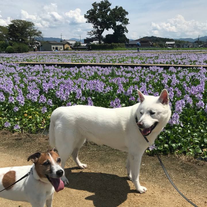 45067102 5698 4be4 b481 d7e08d714cab