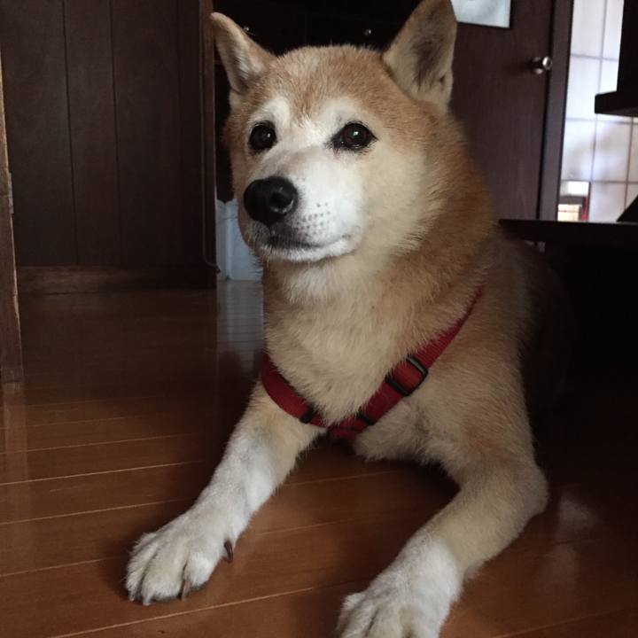 4506bf19 86d9 40de 80e5 90b806f96758