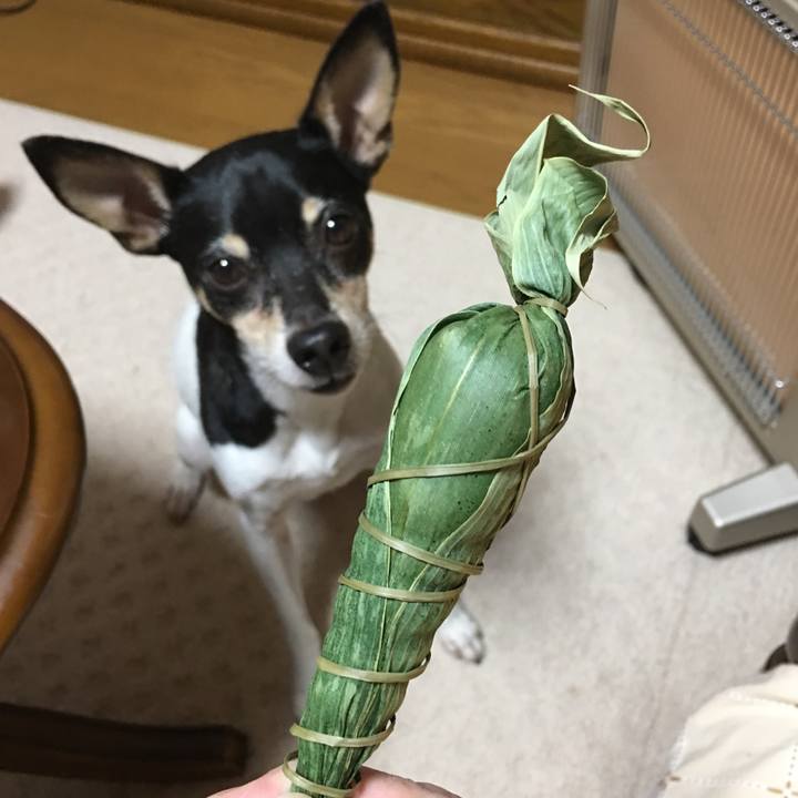 45071925 5262 4029 94f3 2ddb4eae4a71