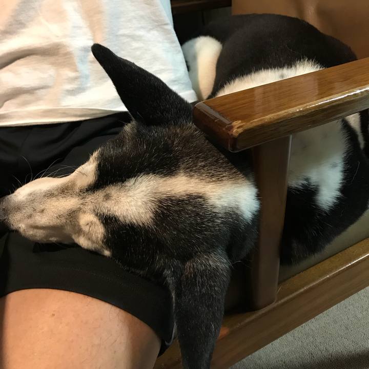 4507770e daa7 4be8 9e6f e86d18aecb7c