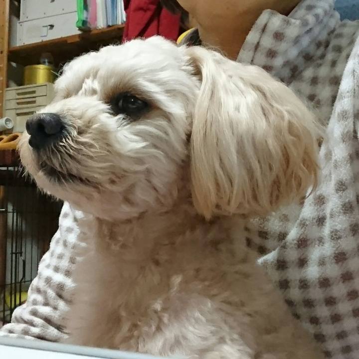 45077b63 8d23 4bc5 841e 61d00d8a0729