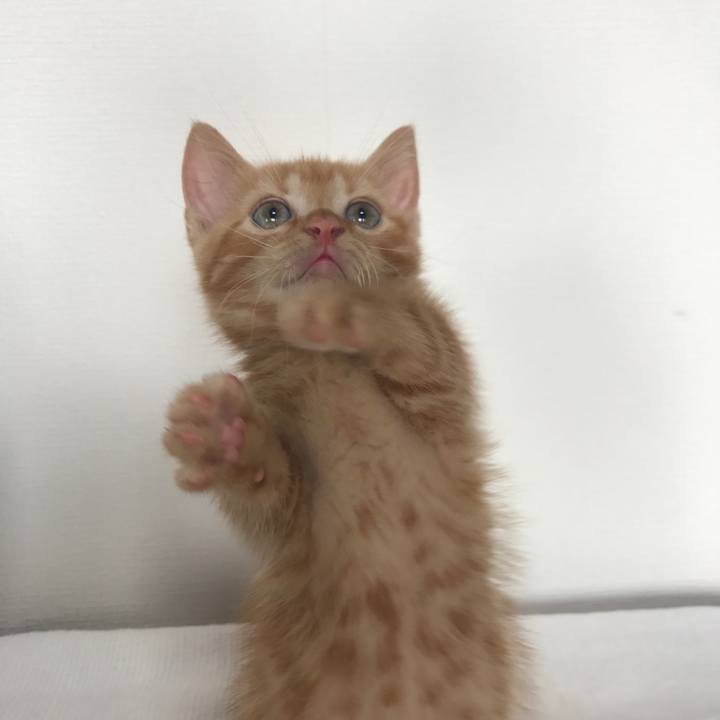 45077b65 166e 4940 bf05 7c4657f97b3d