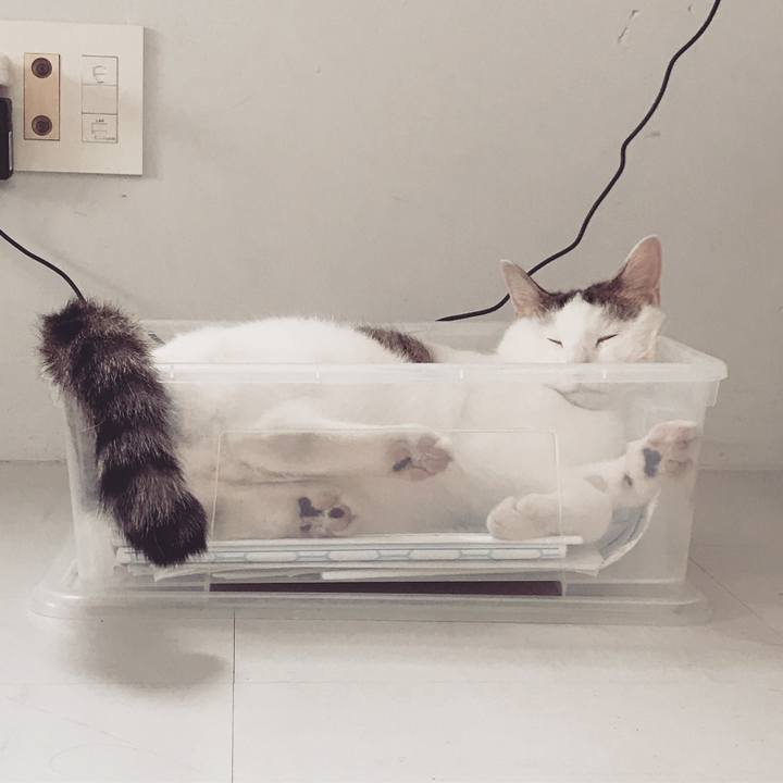 4507e6ec e619 4d62 a3c2 b8f035af7703