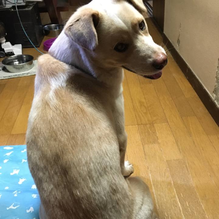 45090206 6a24 42c1 843b eed6ce2c62d5