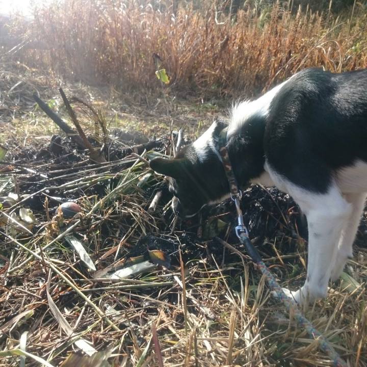 4509d943 41c4 4f46 9cf0 a0df82b90e8c