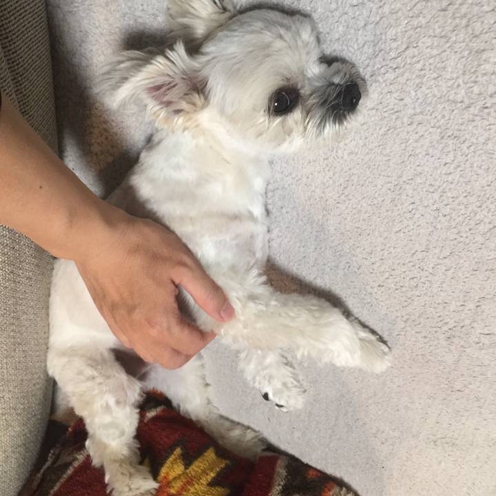 4509eff3 776a 43d1 b8c8 6d2077eaf120