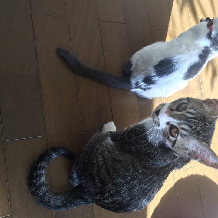 450a6599 ee49 4883 925e 8eeb484bd6b1