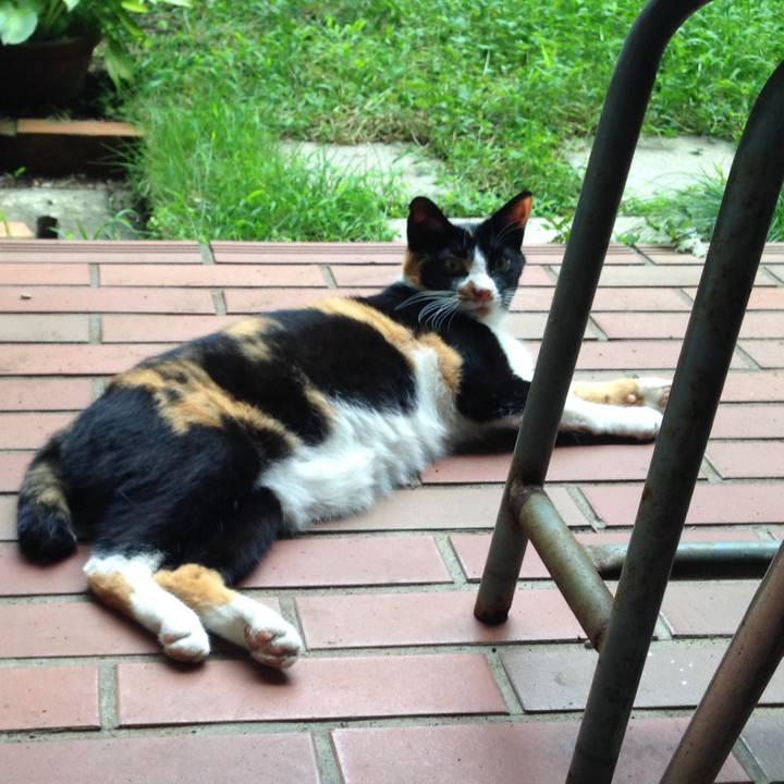 450b1a52 f758 471a bc99 8217d966f915