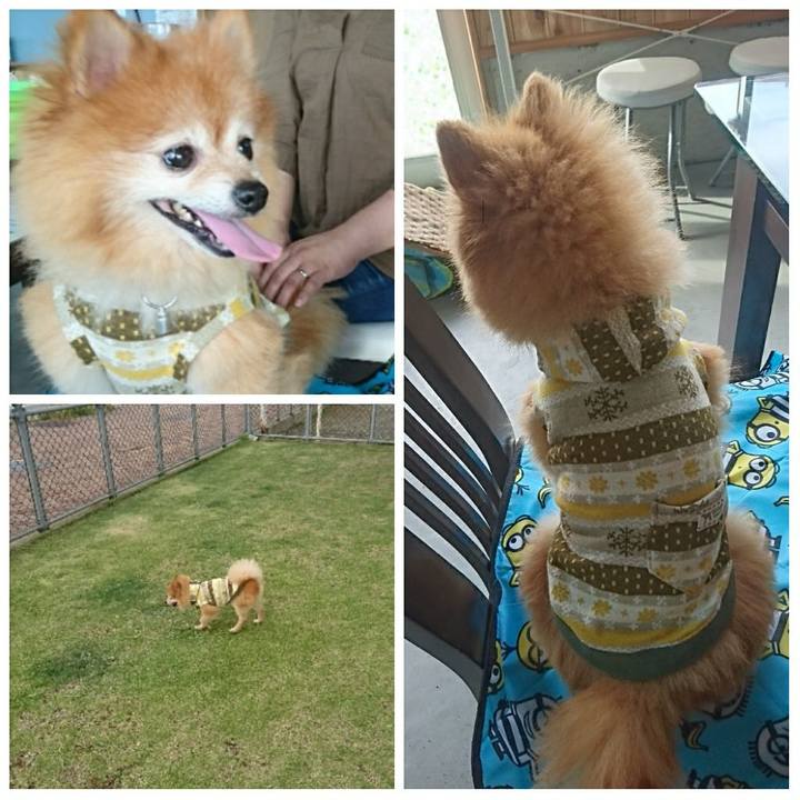 450b39f9 ee6a 498d a9d2 ae9c4198732f