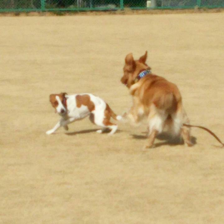 450c045d 9277 4863 97e8 0f4b7214bd28