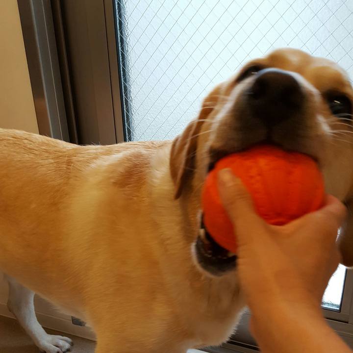 450c2066 32b7 4d08 9344 9595612a2bf6