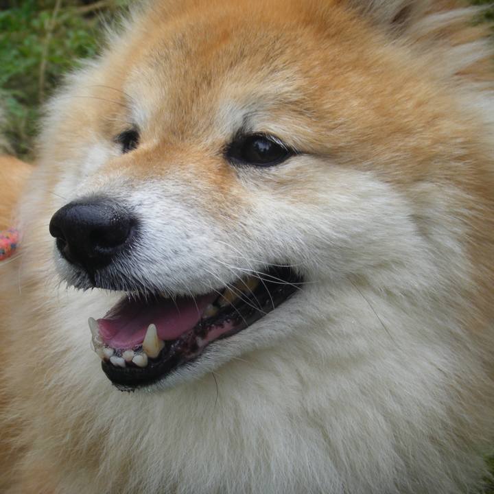 450c9f3e e136 48ba a86b fbc1112e948a