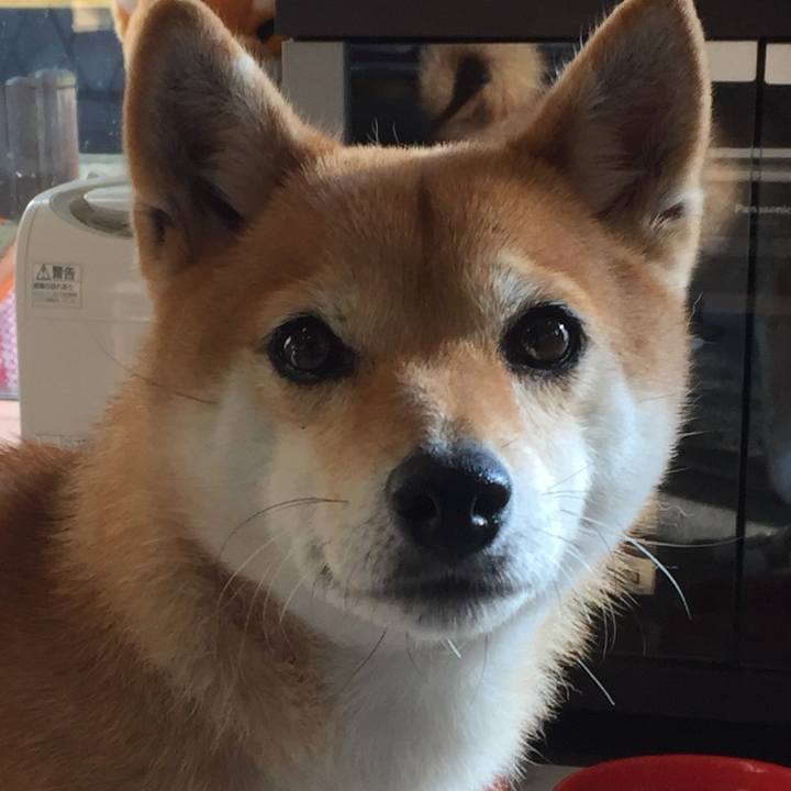 450cd5f5 9707 45c8 91ca 72f189beb2a3