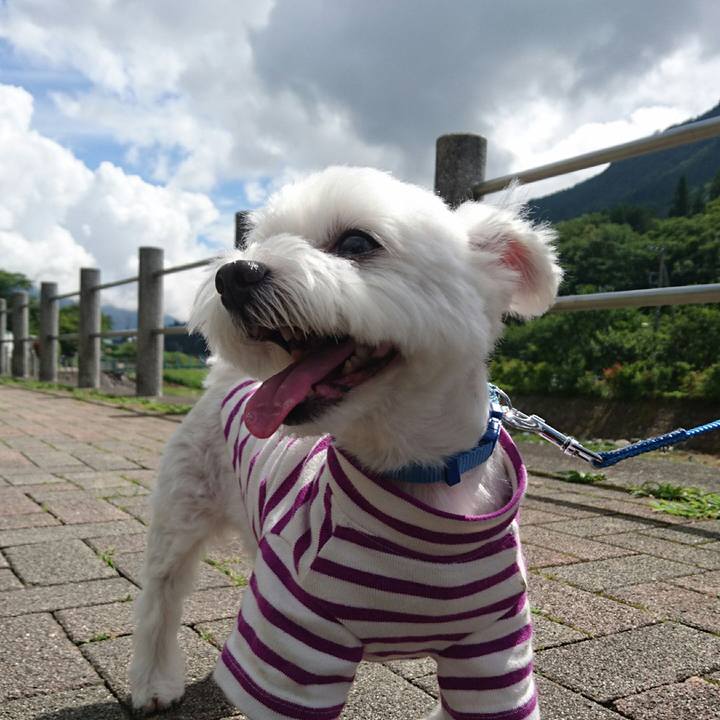 450e1b6e 6b57 4475 a0fe d7228f8cff4e