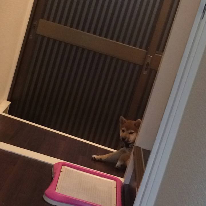 450e1e21 2e1b 43ba 9bf4 5ea6d4da8edb