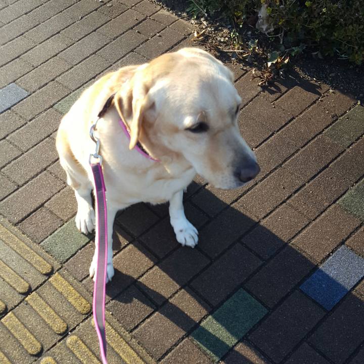 450e469c 7b81 45d4 b7b3 833307b8c133