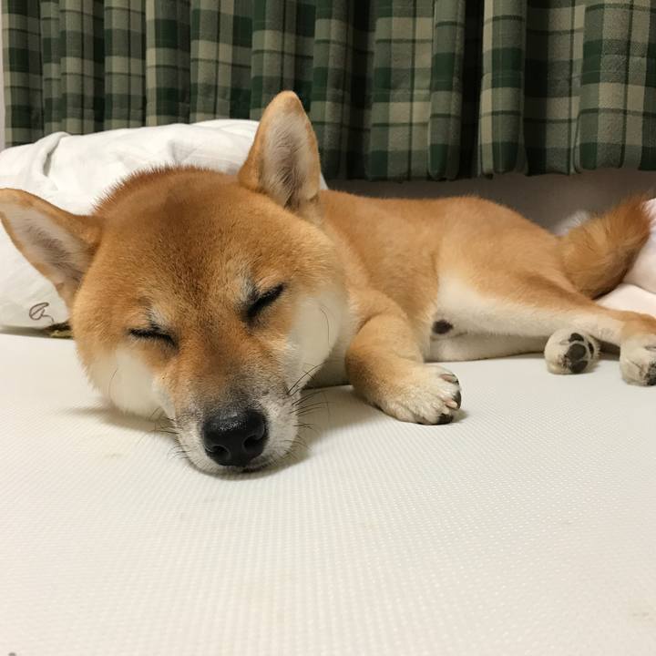 450e54f5 adb8 482f 87c7 9b9997c7411f