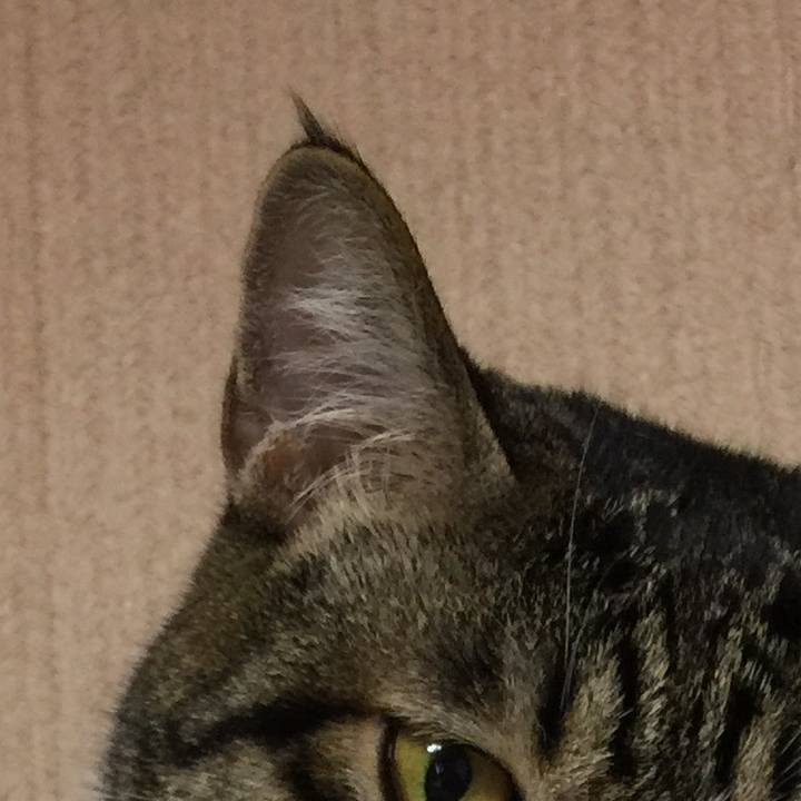 450ea6ac d277 49b1 b22d c7026db17405