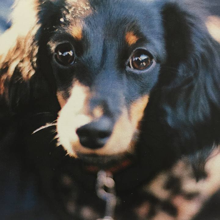 450eea90 d885 4503 9471 2e51836305e2