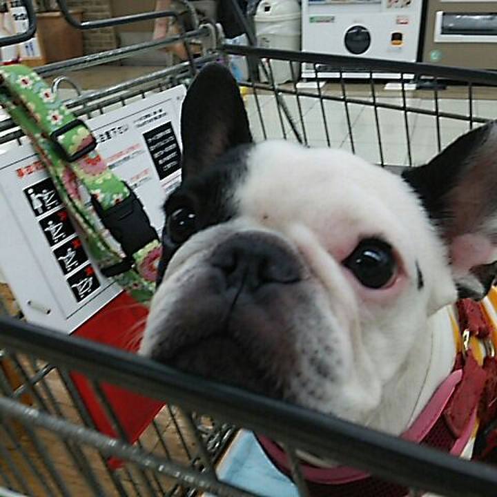 450f62af 90d0 4172 bf81 12c0e2d03d45