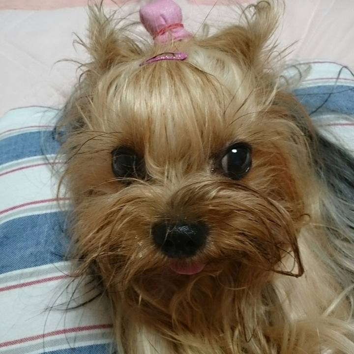 450fbcc5 501f 4f68 b312 64d99c1a1354