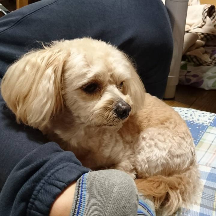 450ffb32 e38b 4545 b3ee a75364129eac