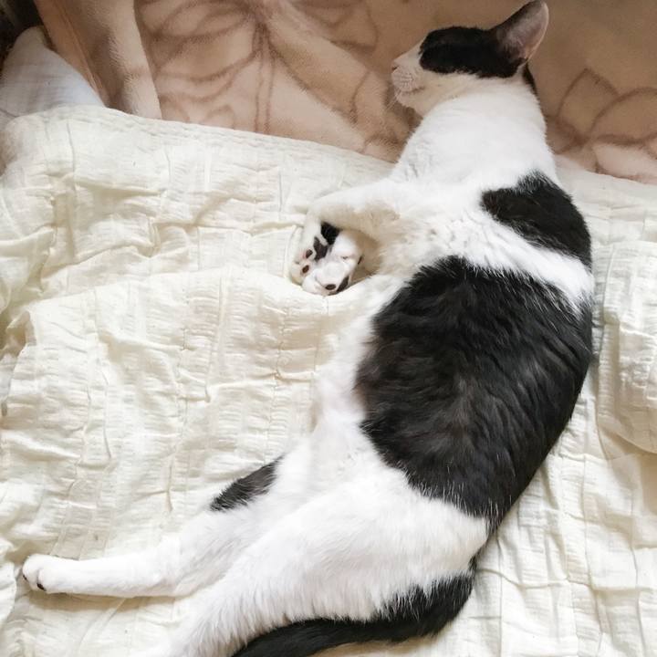 45103854 c304 4086 bfed 7038eaea0aa5