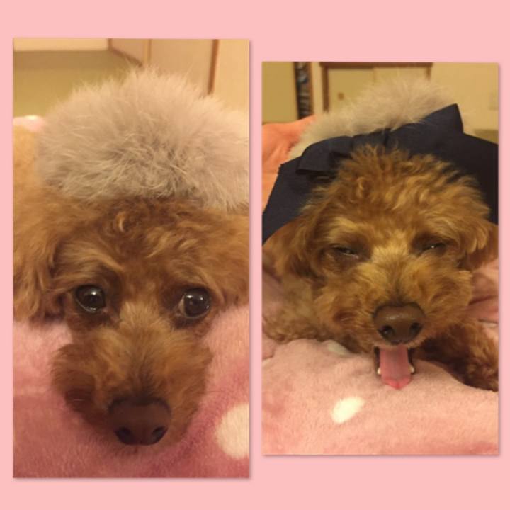 4511df47 3f9c 40b6 9e23 7cc9cbc5f7ee