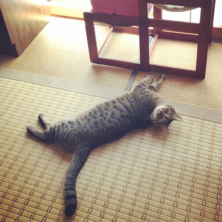 4511ec61 df2d 4205 affc 37f2e2414ad2