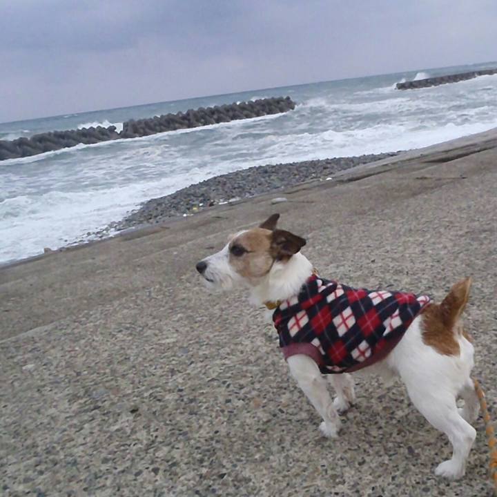 4512b112 1d06 4fa5 a22c 01aa02328031