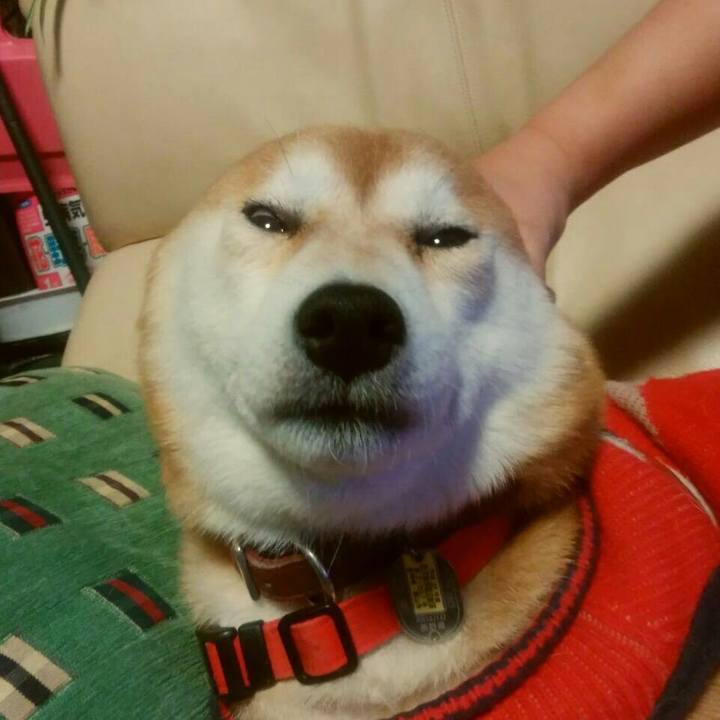 4512cace 73b2 47c3 bfd1 fb27c43c1be1