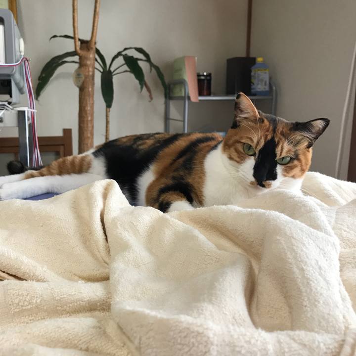 4512d010 2f9f 4571 a334 c1ef9c76d8c1