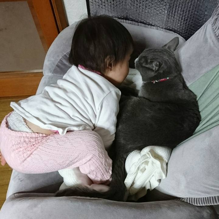 4512dc1c 9e11 499f 958e 880bb2658433