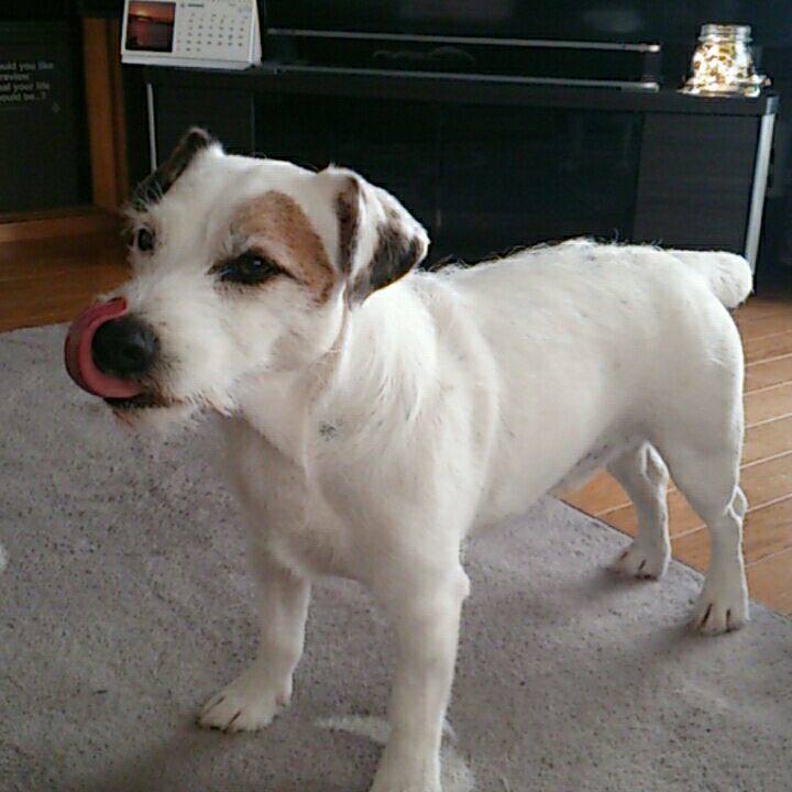 4513316e f651 4986 9072 91960e8b8f35