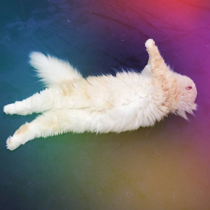 45138c6b 3133 4d1f a523 25cebbcde583