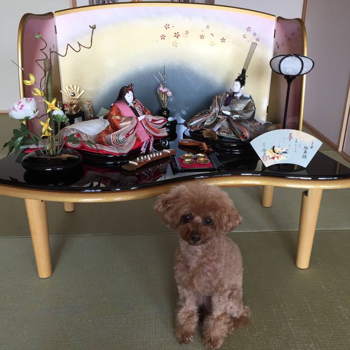 45146ffc 0264 429d 9d41 a60950f46448