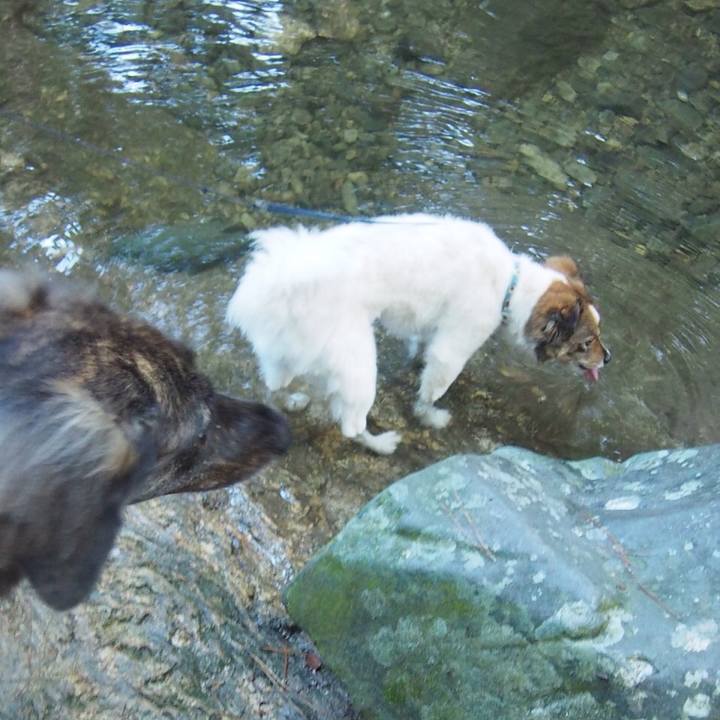 45148a22 39ba 4cc0 9317 19393d9397fd