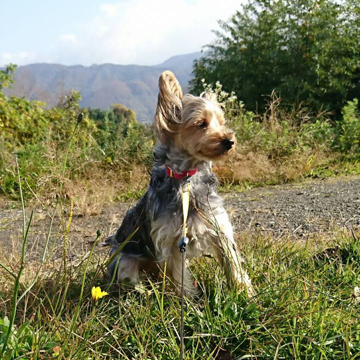 4514dee8 5afd 42ca b953 58e314ddd6a8