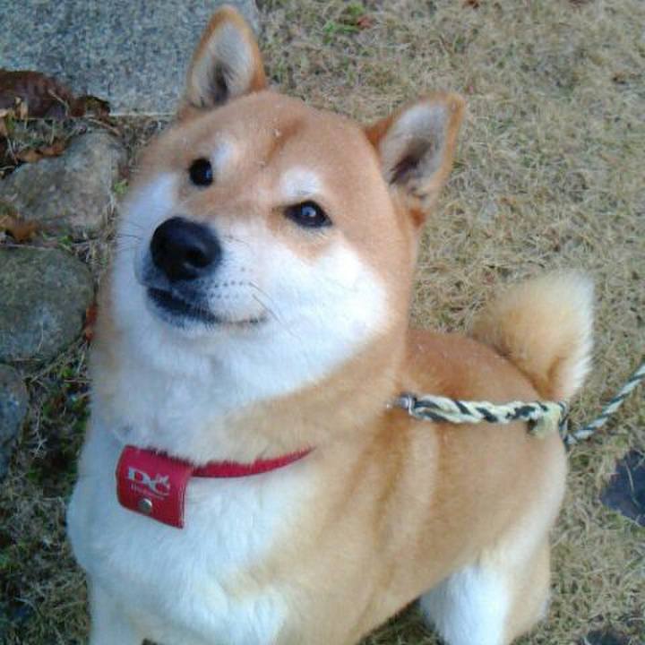 451524bc 4dc3 4855 8f5d 4fbc58b7d5dd