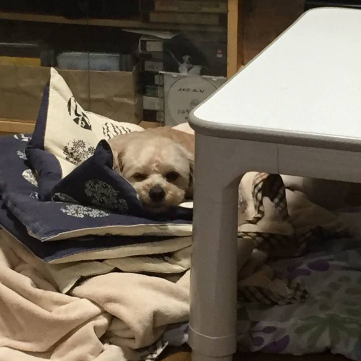 4515615c 9057 4d11 846c 5c4d78f3ae7d